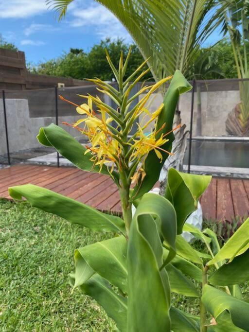 Villa Himani サンジルレバン エクステリア 写真